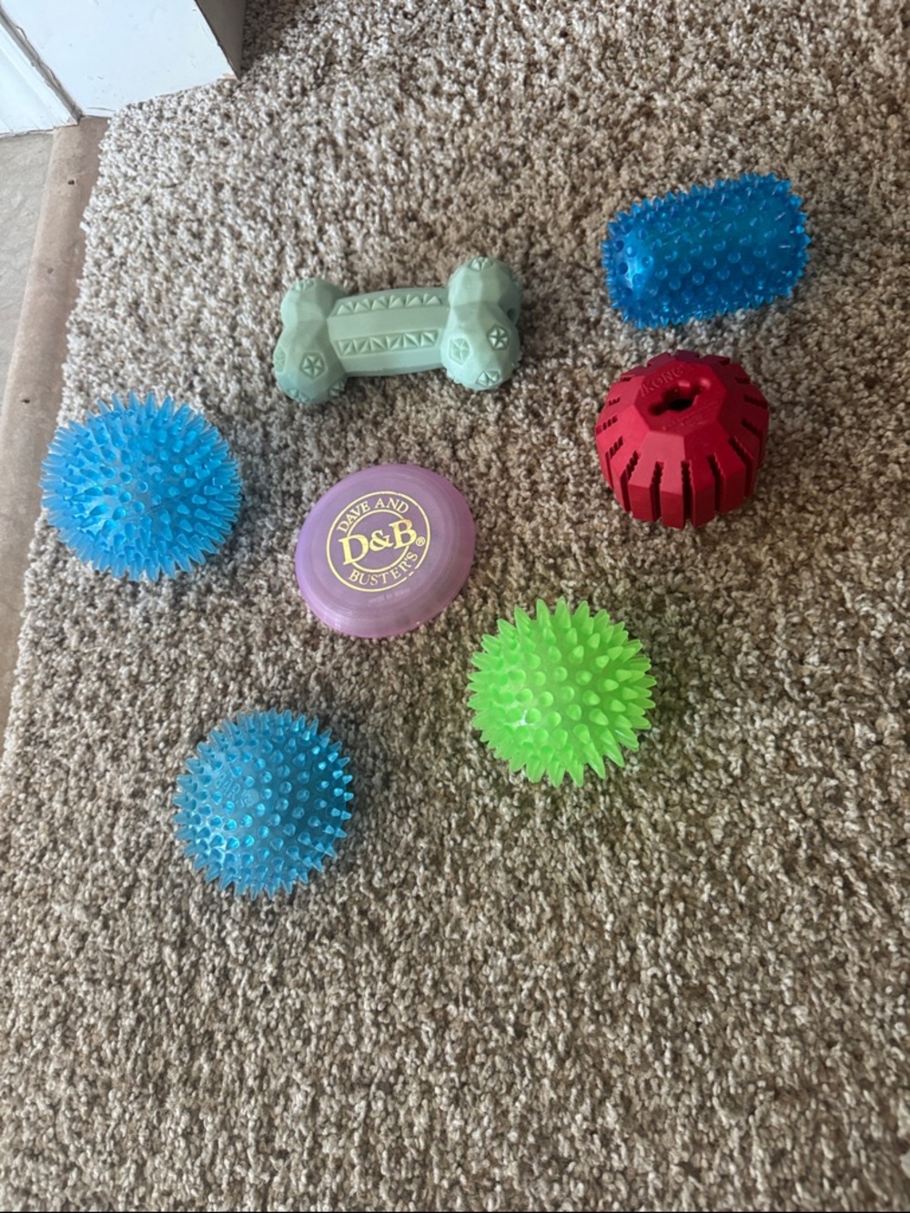 Lot of 7 Dog Toys - includes a frisbee, a squeaky bone, a Kong & 4 spikey balls